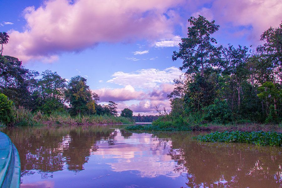 Klias Wetland Kota Kinabalu