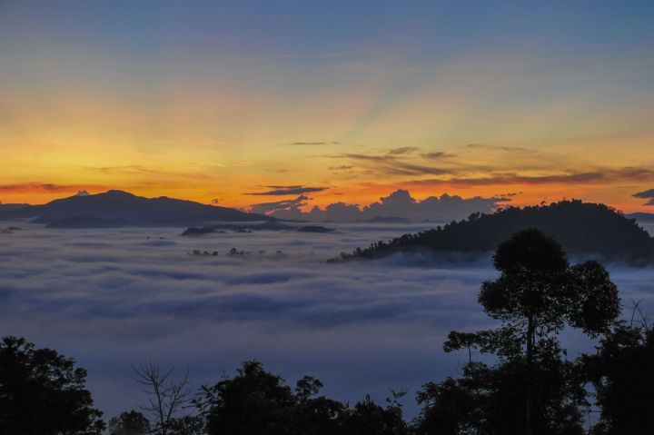 Sunrise Borneo Rainforest Lodge