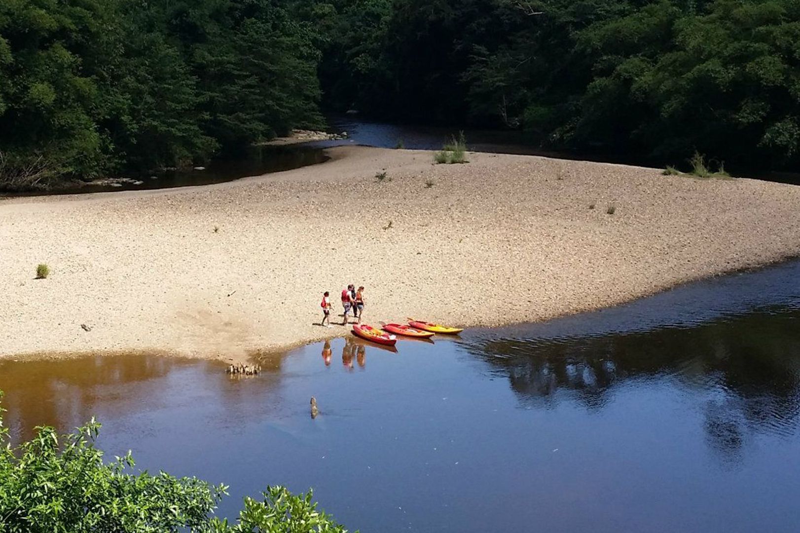 Pedal__Paddle_Sarawak.jpg