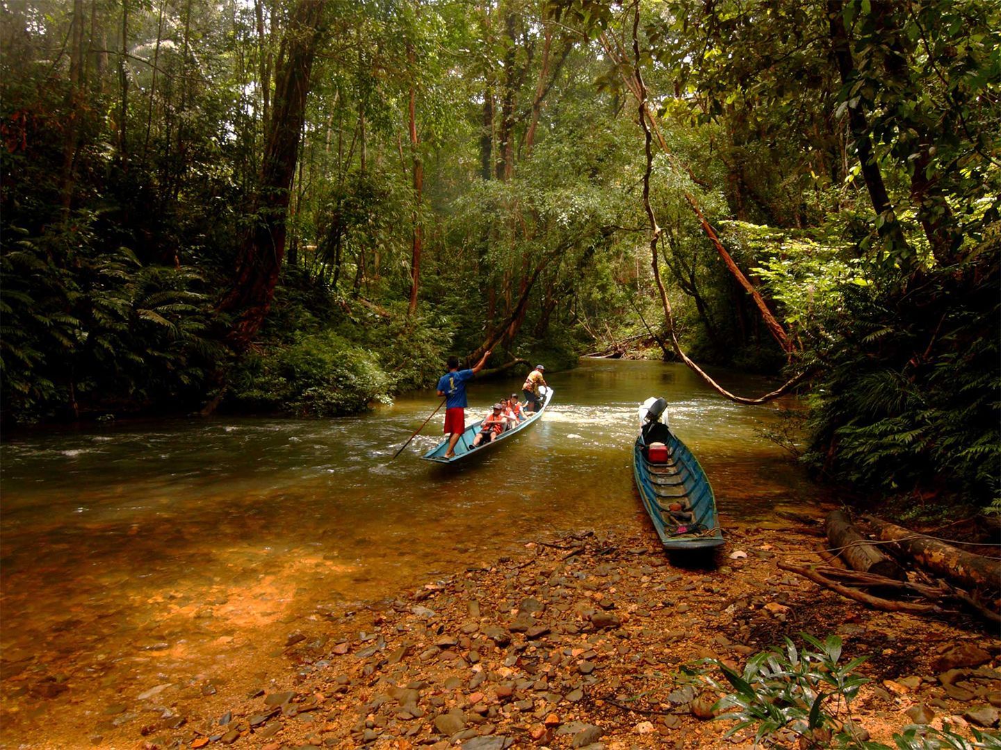 sarawak-red ape trail.jpg