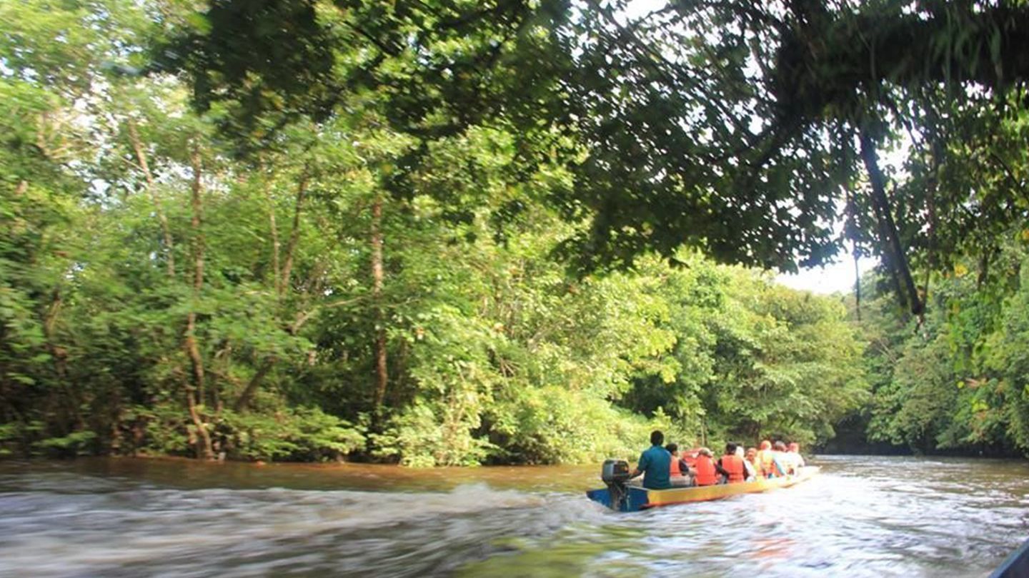 Mulu National Park.jpg