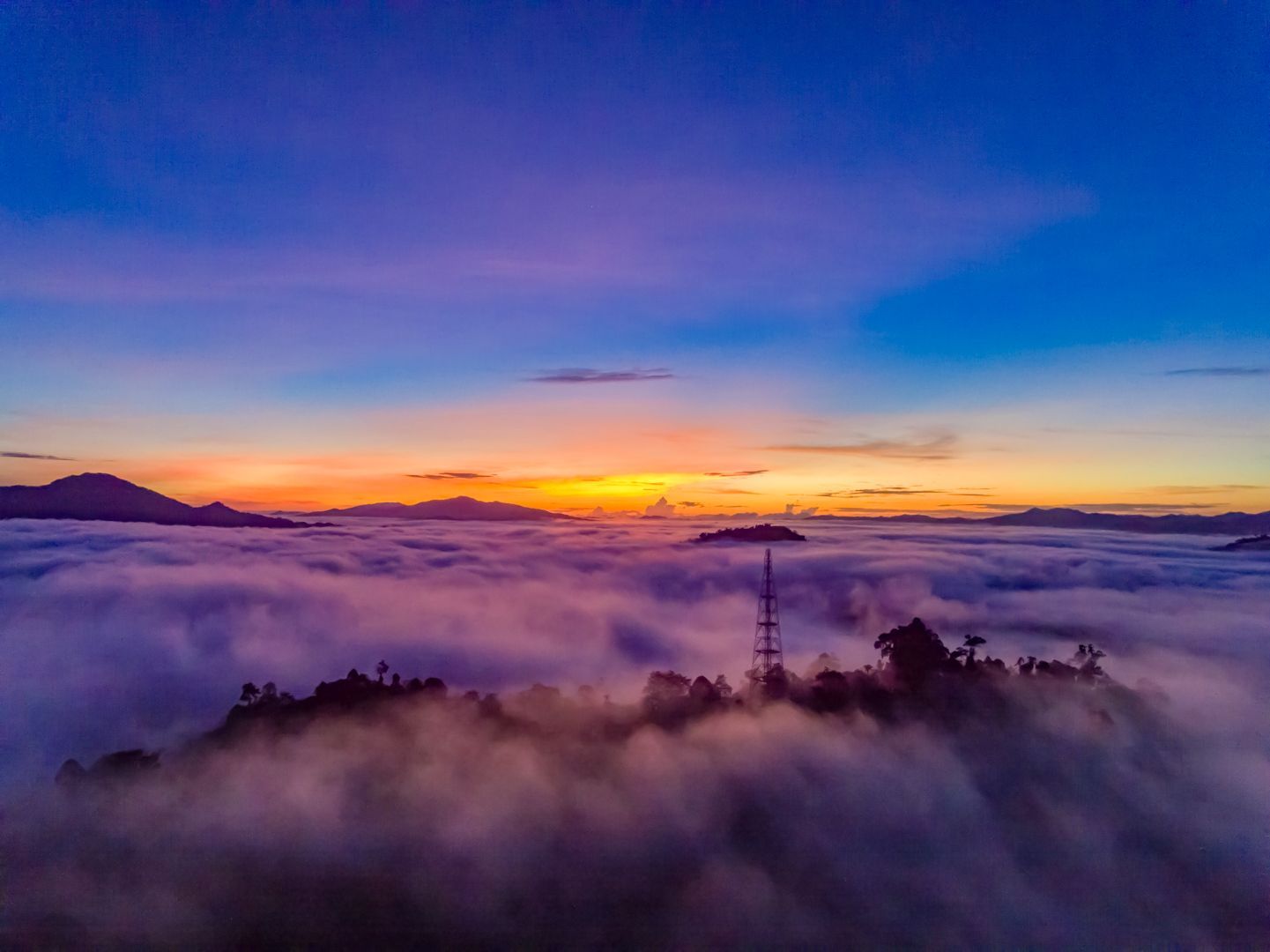 Danum Valley (DJI_0134.jpg).jpg