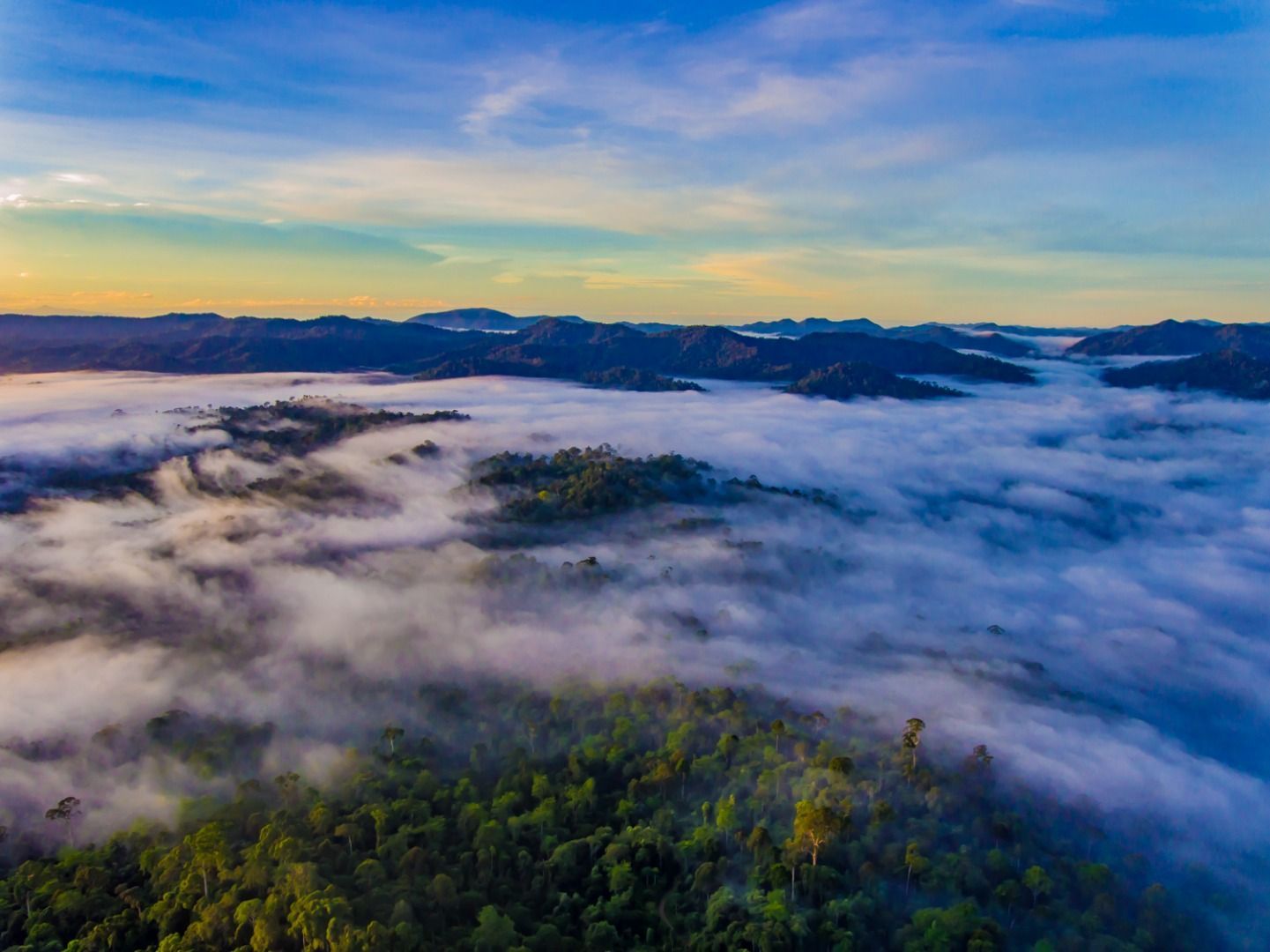 Danum Valley Conservation Area