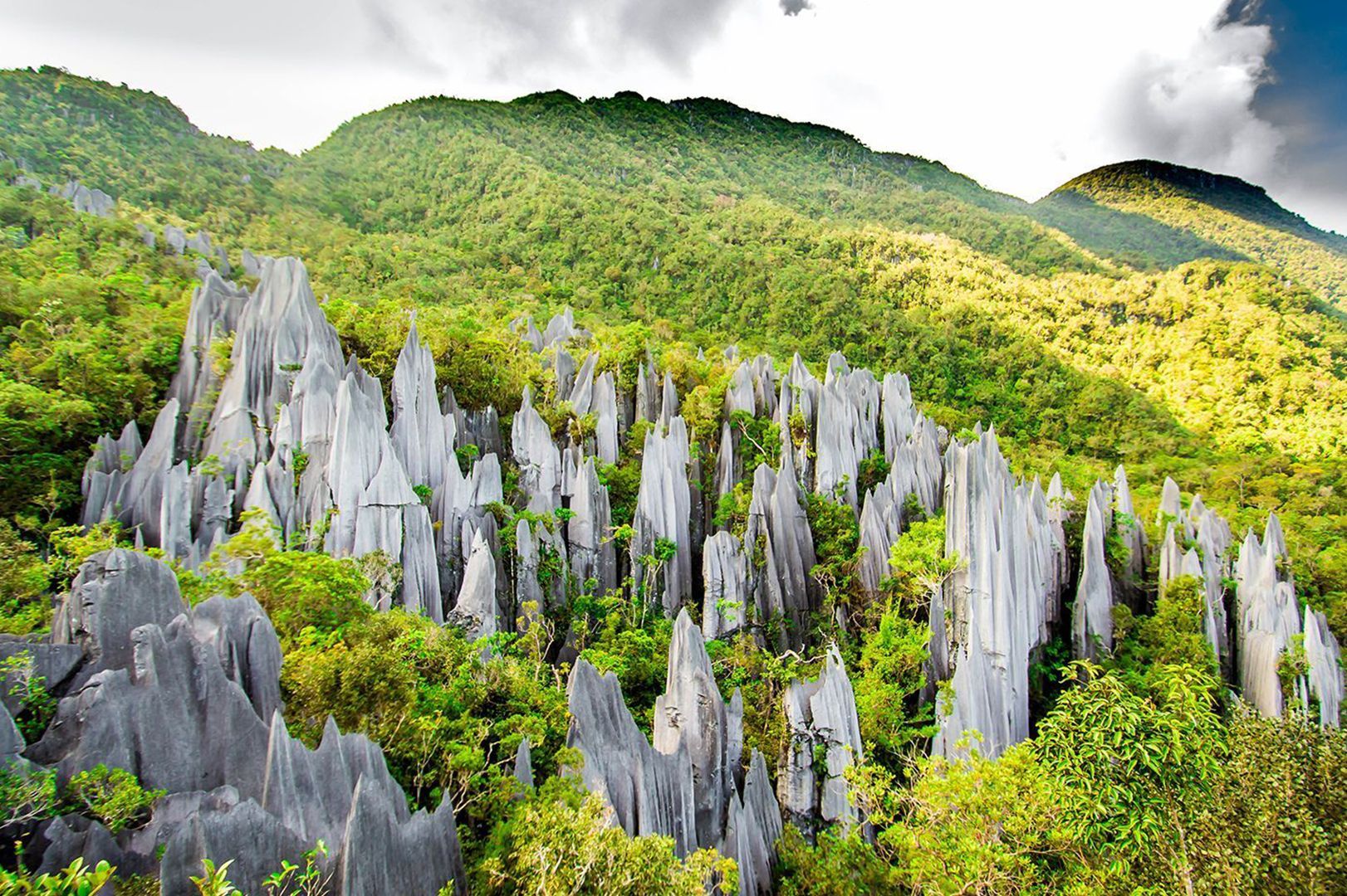 Mulu National Park - Rasakan Eloknya Wisata Alam di Negeri Malaysia