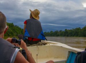 Kinabatangan River