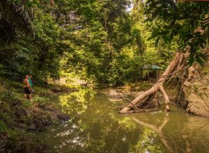 Tabin Wildlife Reserve