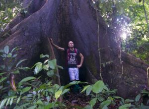 Danum Valley Trekking