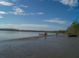 Sungai Kapur North Tabin