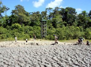 Tabin Mud Volcano Watch tower