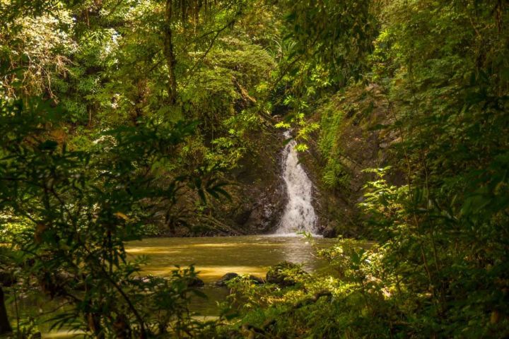 Tabin Wildlife Resort adventure and safari Bike and Tours