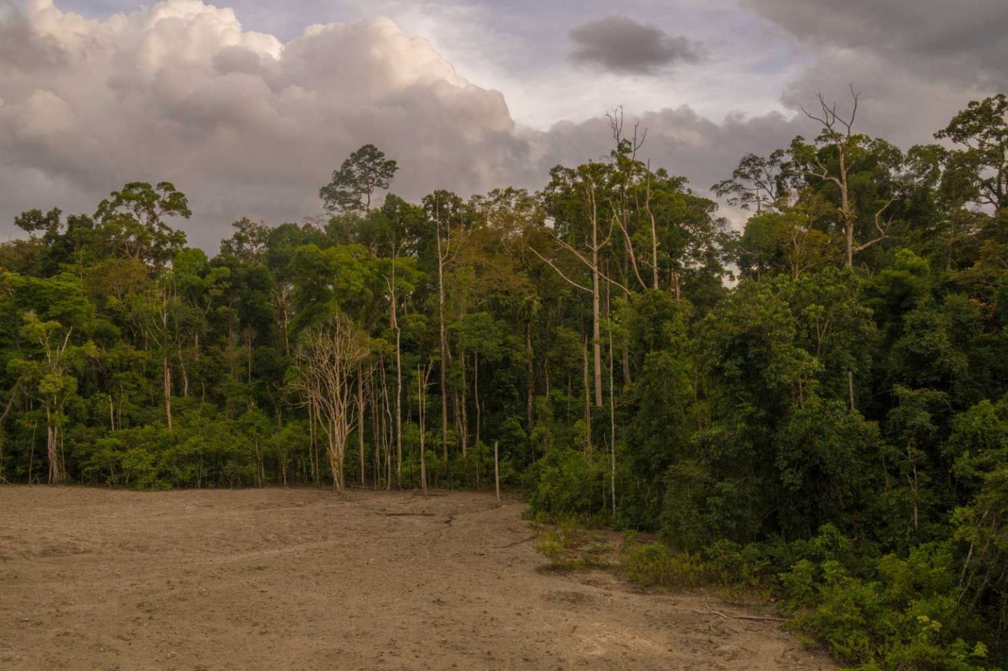 Tabin Wildlife Resort adventure and safari Bike and Tours